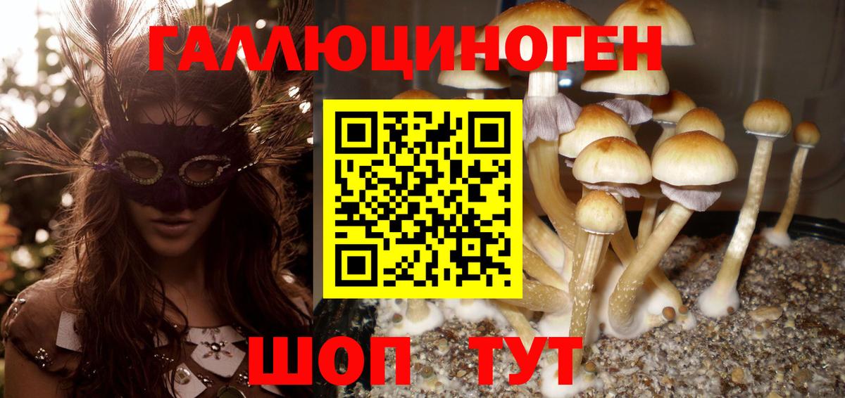 Пермь  Псилоцибиновые грибы Cubensis  магазин  наркотиков  Вход с VPN 